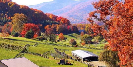 North Carolina In The Fall 