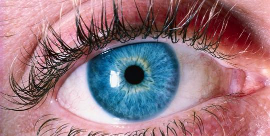 Eye 
