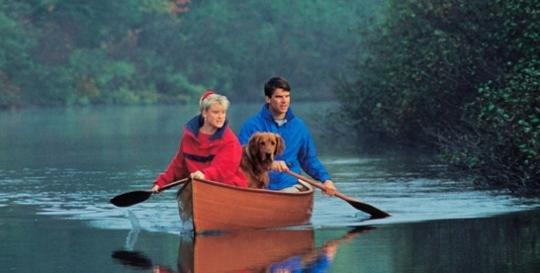 Best Georgia Mountain Values Homes