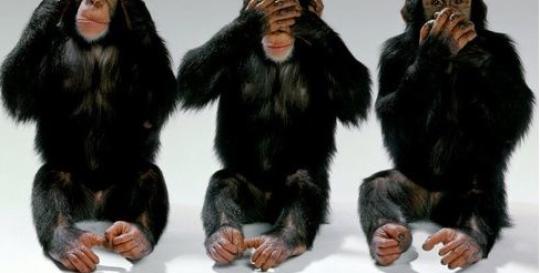 Monkey Business