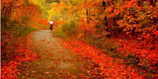 Dahlonega Market Report
