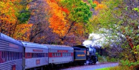 North Carolina Fall Foliage