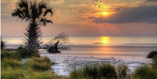Hunting Island State Park SC