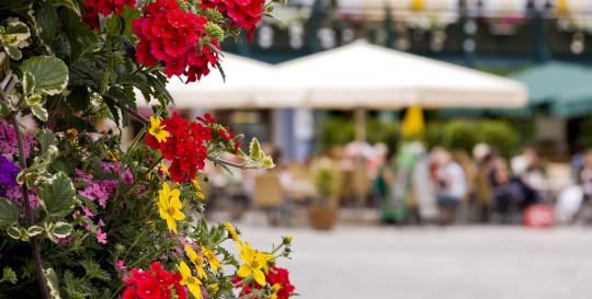 Bluffton SC Farmers Market