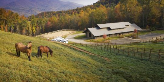 Balsam Mountain Preserve Equestrian Center Hi Res
