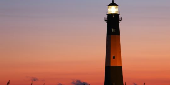 Savannah Lifelong Learning Courses