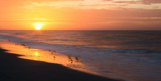 Gulf Of Mexico Sunset