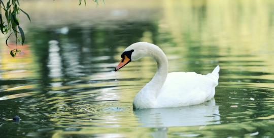 Arlie Gardens Wilmington North Carolina Communities