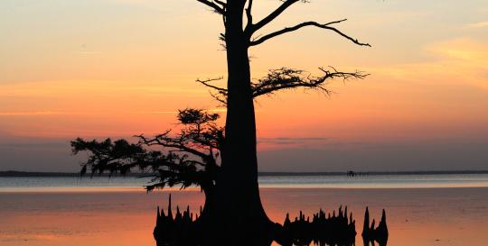 Edenton North Carolina Relocation Information