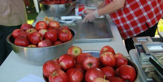 North Carolina Apple Festival