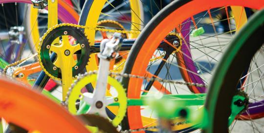 Tour De Tellico Tennessee Rarity Bay