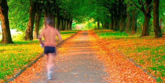 Greenville SC Marathons