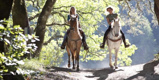 Rarity Bay Equestrian Center Tennessee