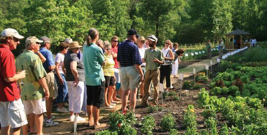 Cliffs Communities Organic Farm
