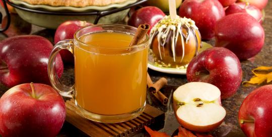Waynesville NC Apple Festival