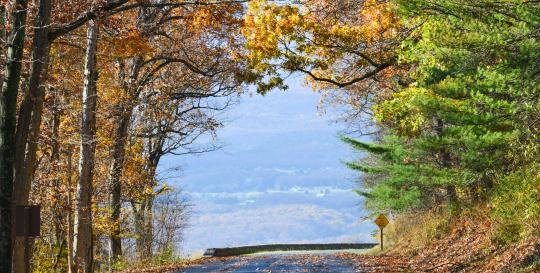 Tourist Attractions In Knoxville TN