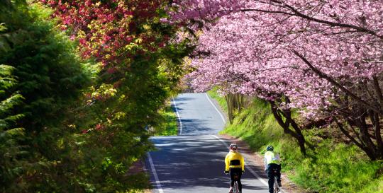 Nashville Greenways