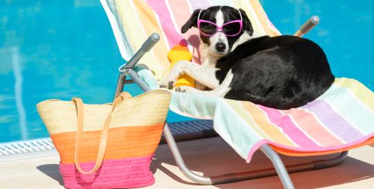 Pet Friendly Master Planned Communities