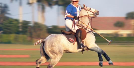 Polo Club Florida