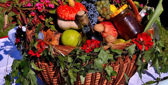 Foodtopia