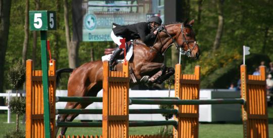 Hunter Jumper Competitions