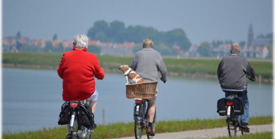 Lifelong Learning 