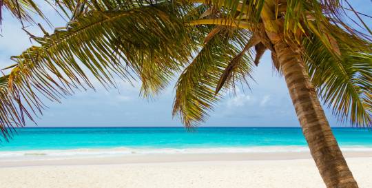 Florida Beach