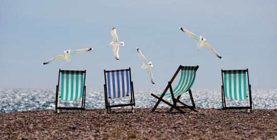 Beach Chairs
