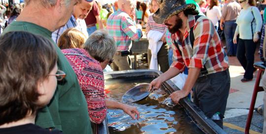 Dahlonega Gold Rush Festival