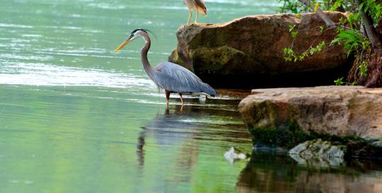 Florida National Scenic Trail