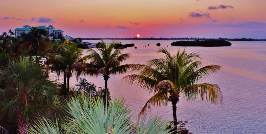 Florida Best Hospitals