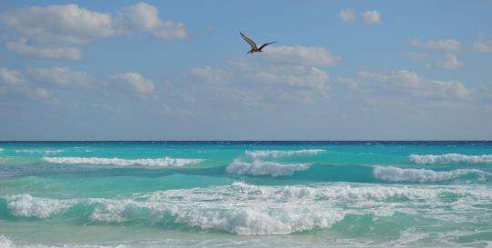 Sebastain Inlet Vero Beach