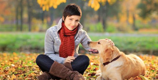 Off Leash Dog Parks