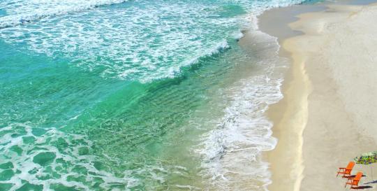 Things To Do In Sarasota Florida
