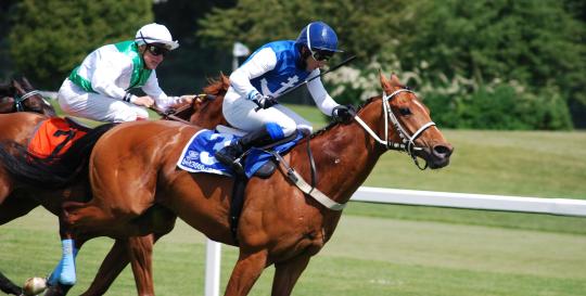 Polo Cup events