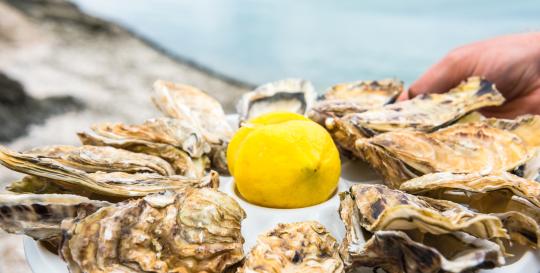 Lowcountry oysters