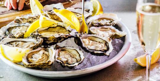 Lowcountry oysters