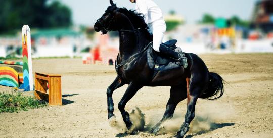 Equestrian Events in North Carolina