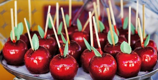 North Carolina Apple Festival 