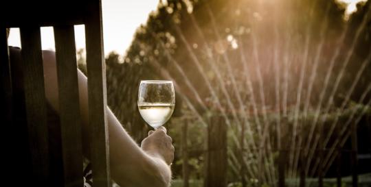 Dahlonega Wine Trail
