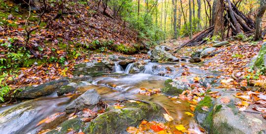 Big Canoe hiking trails and waterfalls