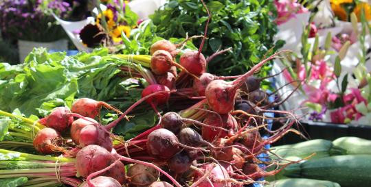 community gardens