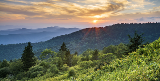 The Coves Mountain River Club