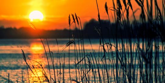 Sea Islands South Carolina