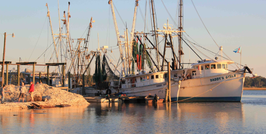 Sea Islands of South Carolina