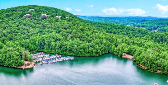 Big Canoe real estate