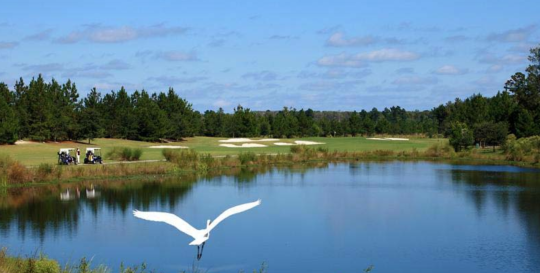Hilton Head Lakes