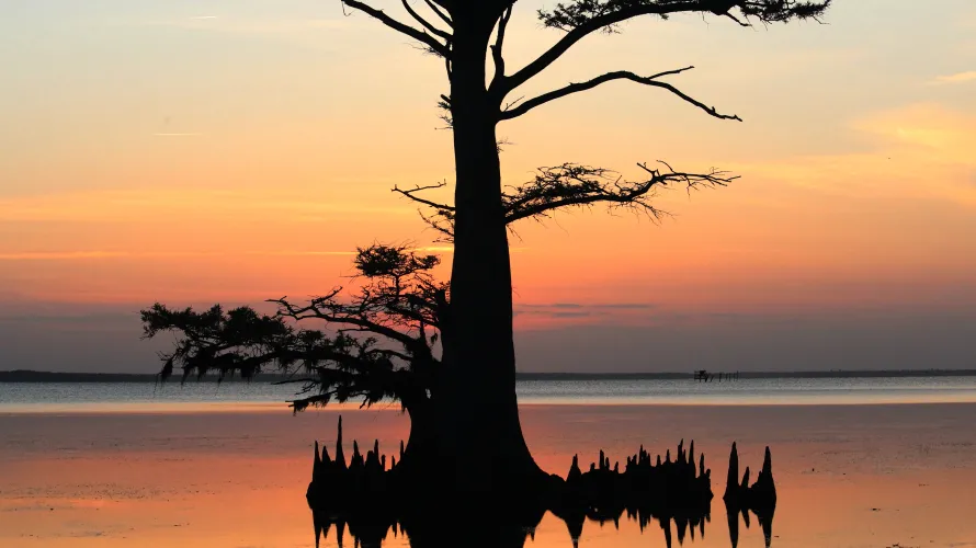 Edenton North Carolina Relocation Information