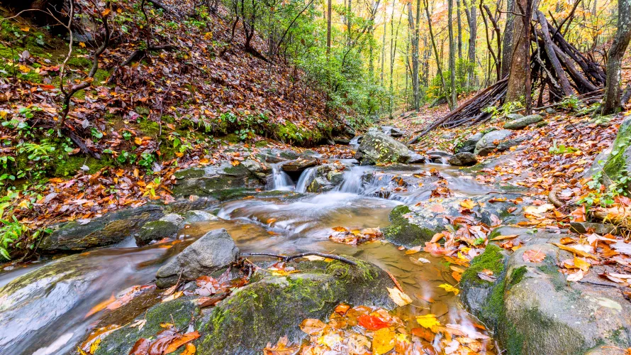 Big Canoe hiking trails and waterfalls