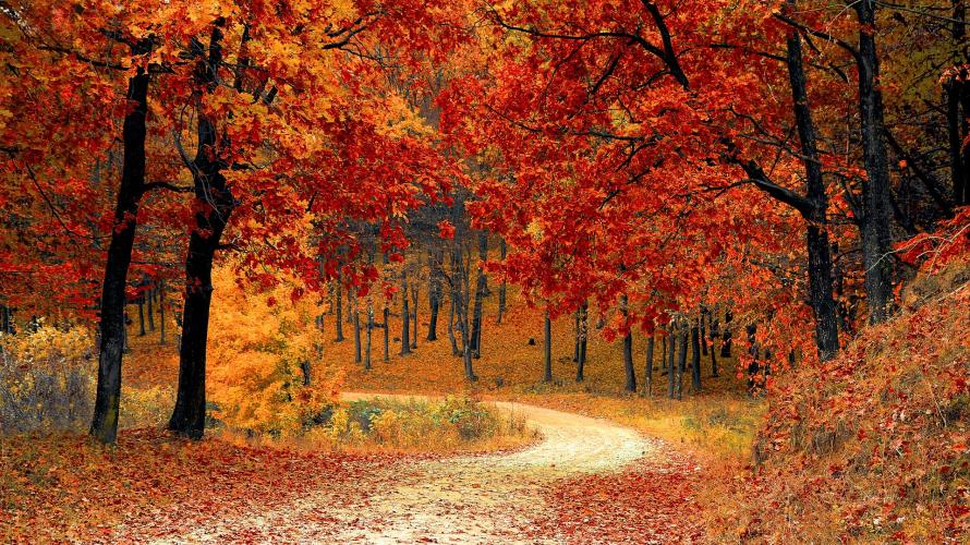 near the Blue Ridge Parkway